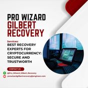 Bitcoin Recovery Service Hire Pro Wizard Gilbert Recovery logo