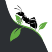 AntCheck.info Api logo