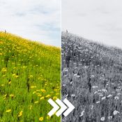 Batch Color to Black & White Image Converter API logo