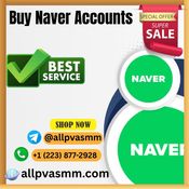 The Ultimate Guide to Buying Naver Accounts Everything ... logo