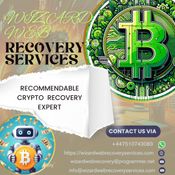 BITCOIN RECOVERY EXPERT HIRE  WIZARD WEB RECOVERY SERVICES  logo