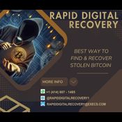 HIRE A HACKER FOR BITCOIN RECOVERY: RAPID DIGITAL RECOVERY logo