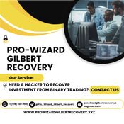 CYBER EXPERTISE HIRE PRO WIZARD GIlBERT RECOVERY logo