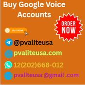 Top 4 Sites to Buy Google Voice Accounts in 2025 logo