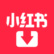 Rednote Video Download Link logo