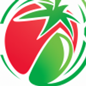 Pepesto logo