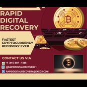 YOUR GUIDE TO RECOVER STOLEN CRYPTO: RAPID DIGITAL RECOVERY logo