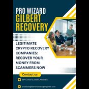 BITCOIN RECOVERY EXPERT//PRO WIZARD GIlBERT RECOVERY logo