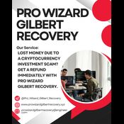 BITCOIN ASSETS WITH EASE, HIRE PRO WIZARD GILBERT RECOVERY logo