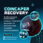 Bitcoin Stay Lost: The Coin Caper Recovery Solution logo