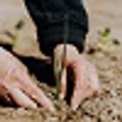 Climate Change News logo