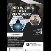 TO RECOVER YOUR  MISSING CRYPTOCURRENCY Pro Wizard Gilbert  logo