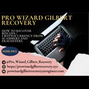 FINANCIALLY FROM CRYPTO FRAUD - PRO WIZARD GILBERT RECćVERY