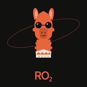 RO2 Labs Private Llama 3 70B Inference logo