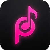 plynx Music Intelligence API logo