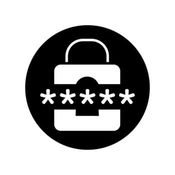 Password Validator logo