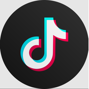 TikTok Ads API logo