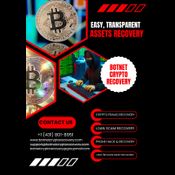 CRYPTOCURRENCY  RECOVERY SERVICES : BOTNET CRYPTO RECOVERY logo