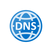 Dig DNS logo