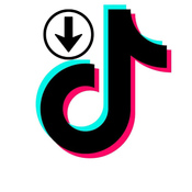 tiktok video downloader