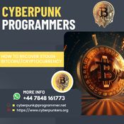 CRYPROCURRENCY RECOVERY COMPANIES: CYBERPUNK PROGRAMMERS