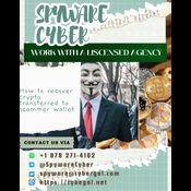 CRYPTO SCAM RECOVERY AGENCY-SPYWARE CYBER