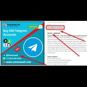 Top 7 Sites to Buy Telegram Accounts for Global ... logo