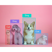 Super Fast Object Detection