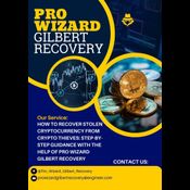  FRAUD RECOVERY HIRE PRO WIZARD GIlBERT RECOVERY logo
