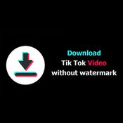 Tiktok Video Downloader