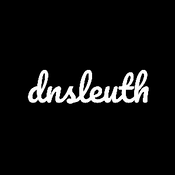 dnsleuth
