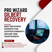BITCOIN RECOVERY COMPANY – PRO WIZARD GIlBERT RECOVERY logo
