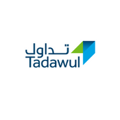 Saudi Exchange Stocks Tadawul
