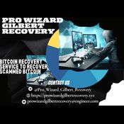 Cryptocurrency Recovery Expert / Pro Wizard Gilbert Recovery