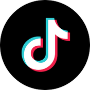 TikTok Data logo