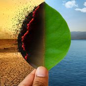 Climate Change Live News