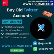 How To Buy Old Twitter Accounts In New Year logo