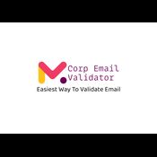 Business Email Validator logo