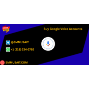 Quiz: Top 11 Site To Buy Google Voice Accounts In This Time logo