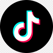 TikTok API logo