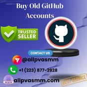 Top 10 Sites To Buy Old GitHub Accounts in 2025 logo