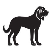 QuotaHound logo