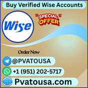 What is a Verified Wise Account-2026? logo