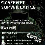 Recover stolen Bitcoin, Cybernet Surveillance
