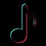 TikTok Audio Video Download logo
