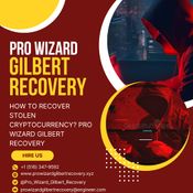  FRAUD RECOVERY EXPERT // PRO WIZARD GIlBERT RECOVERY logo