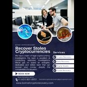 RECOVER FROM ONLINE SCAMMER CONTACT BOTNET CRYPTO RECOVERY logo