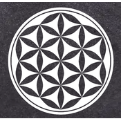 Sweeper Crypto logo