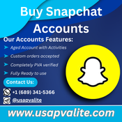 Best 6.9 Place To Purchase Snapchat Accounts logo