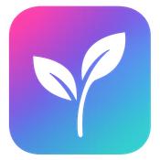 Seed Dream 4.0 - AI Image Generator logo